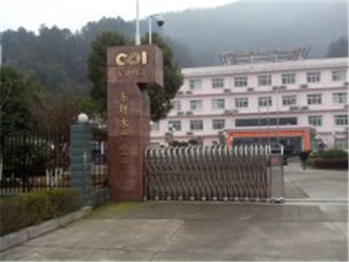 东坪水电厂技术咨询项目